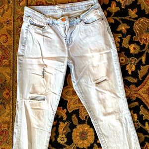 YMI Dream Fit Hi Rise